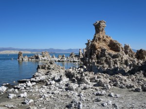 IMG_2222