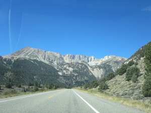 IMG_2230