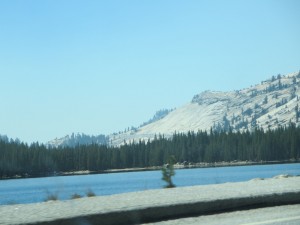 IMG_2242