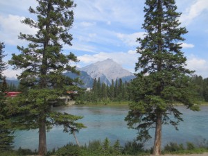 IMG_3343