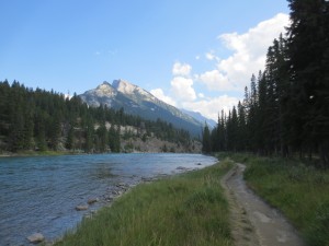 IMG_3350