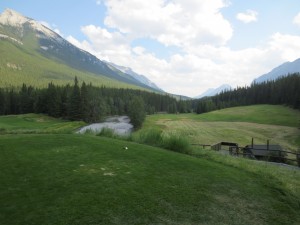 IMG_3368