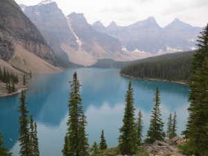 IMG_3405