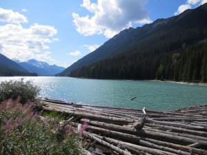 IMG_3618