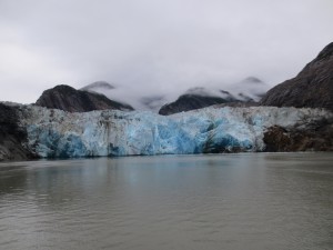 IMG_3785