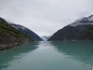 IMG_3800