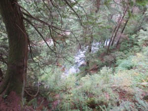 IMG_3940