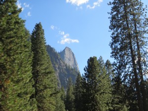 IMG_4146