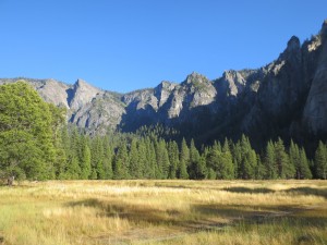 IMG_4150