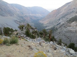 IMG_4175