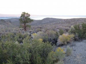 IMG_4199