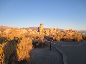 IMG_4206