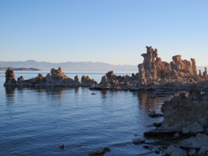 IMG_4240