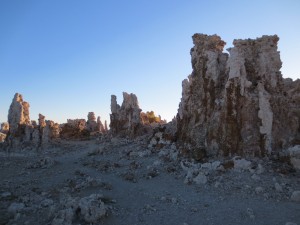 IMG_4242