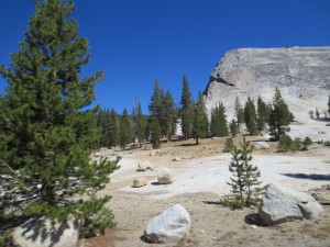 IMG_4289