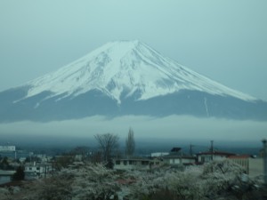IMG_4630