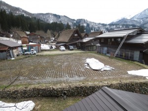 IMG_4766 (1)