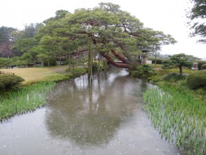 IMG_4864
