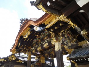 IMG_5055