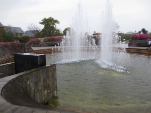 IMG_5255