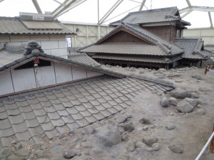 IMG_5288