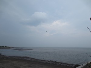 IMG_5300