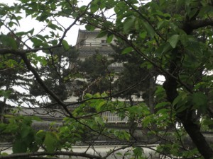 IMG_5315