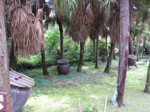 IMG_5340