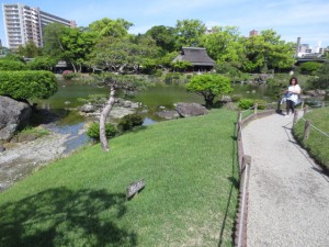 IMG_5446