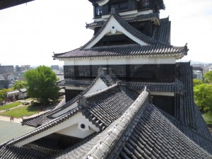 IMG_5471