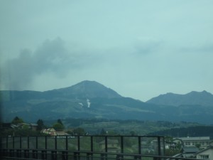 IMG_5516