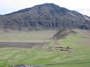IMG_5536