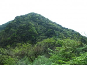 IMG_5560