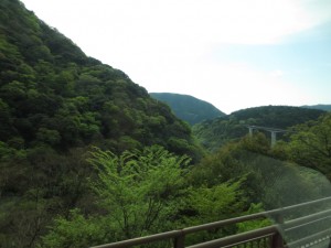 IMG_5561