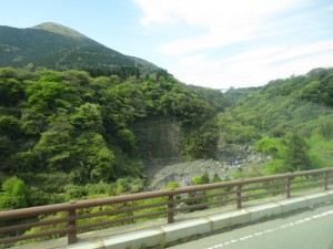 IMG_5564