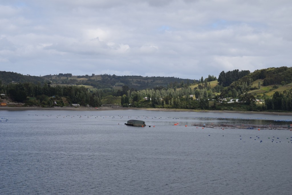 DSC_1849
