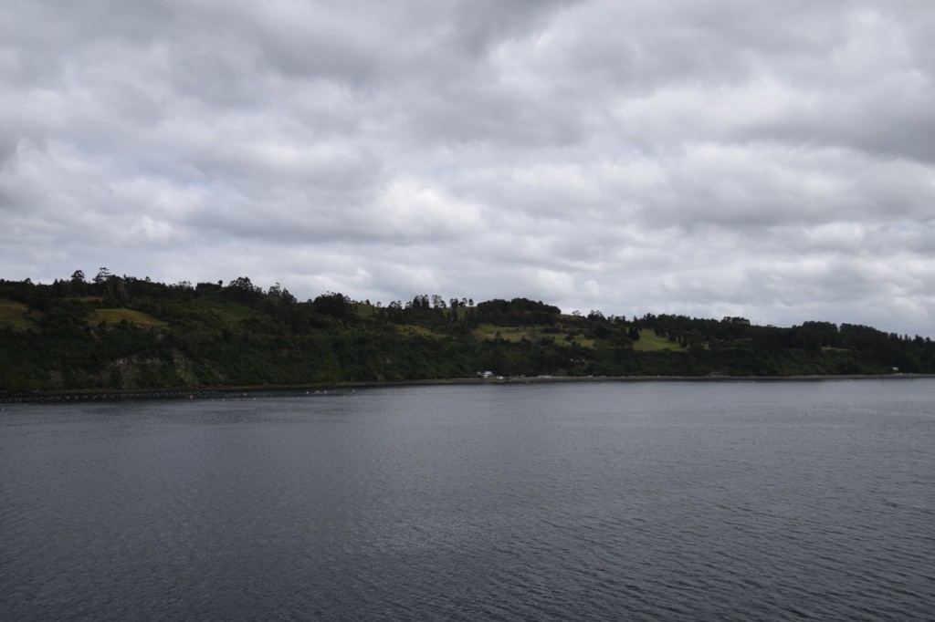 DSC_1850