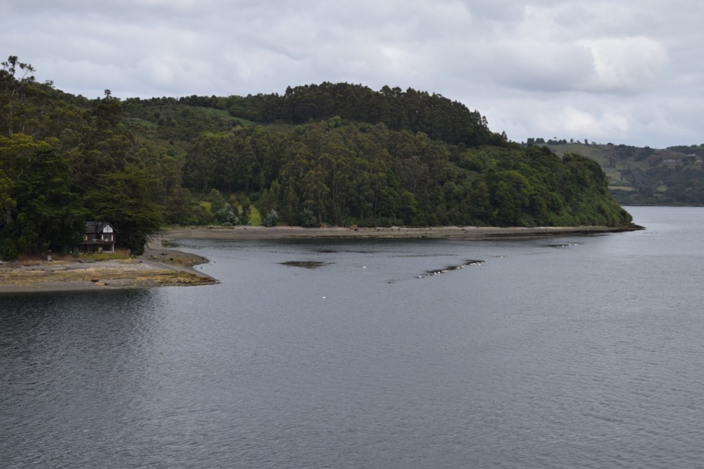 DSC_1854
