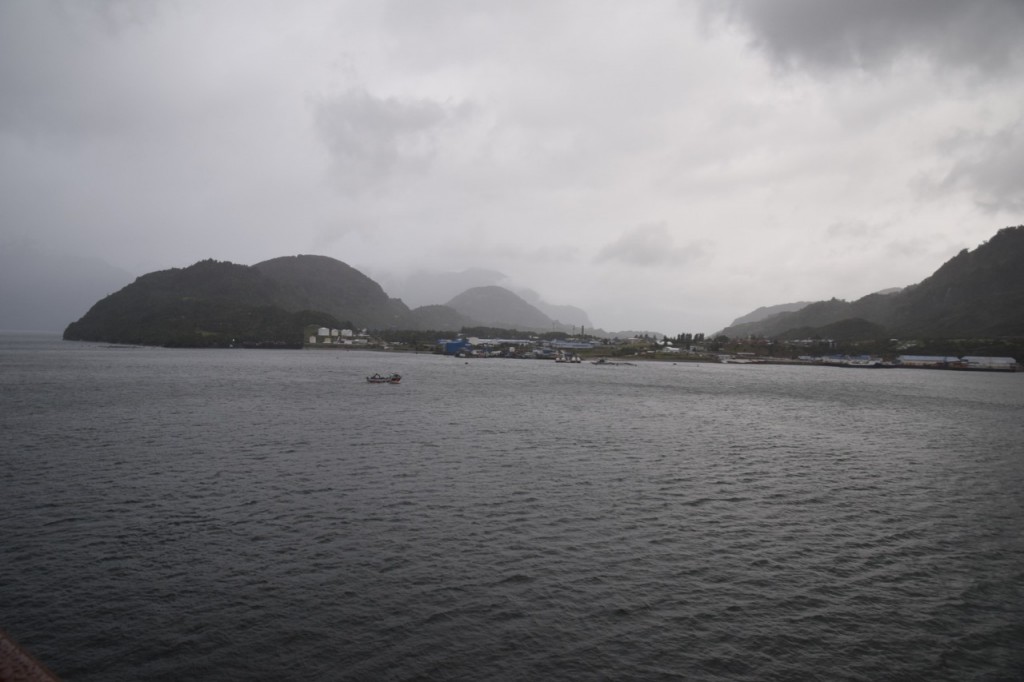 DSC_1881