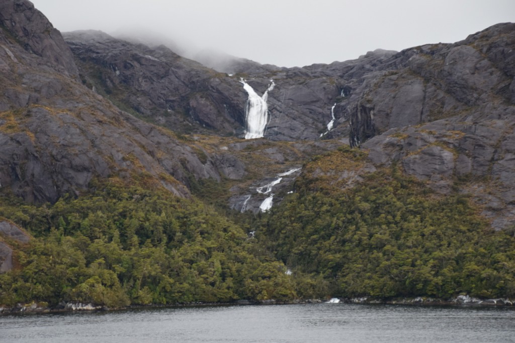DSC_1986