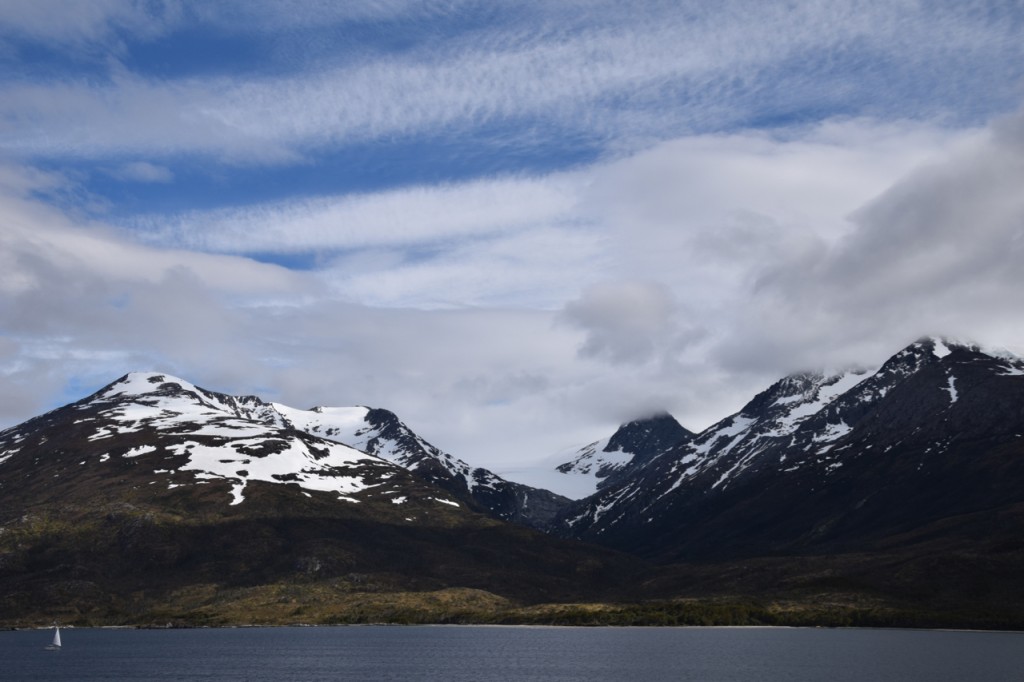 DSC_2667