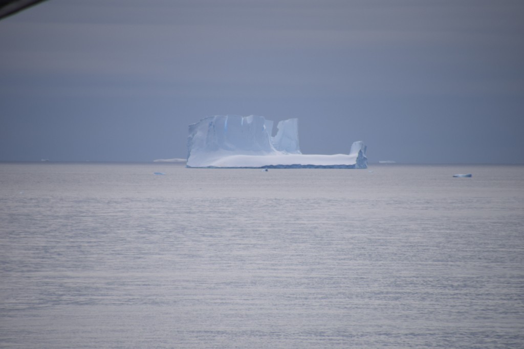 DSC_3078