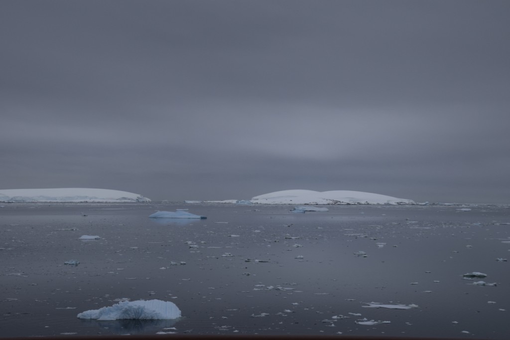 DSC_3686
