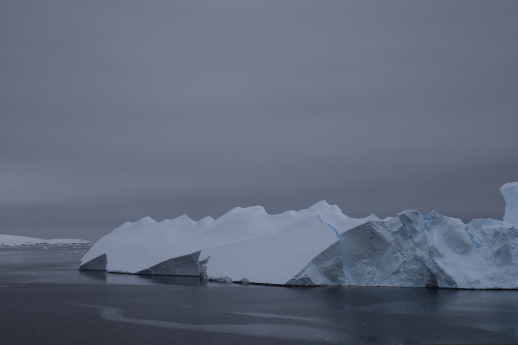 DSC_3693
