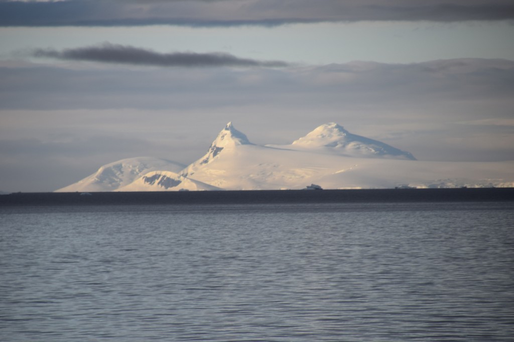DSC_4006