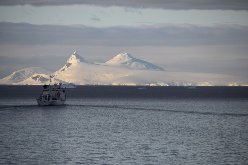 DSC_4010
