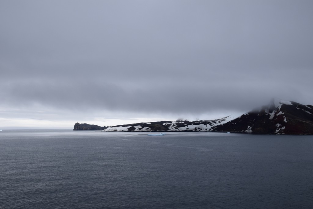 DSC_4019