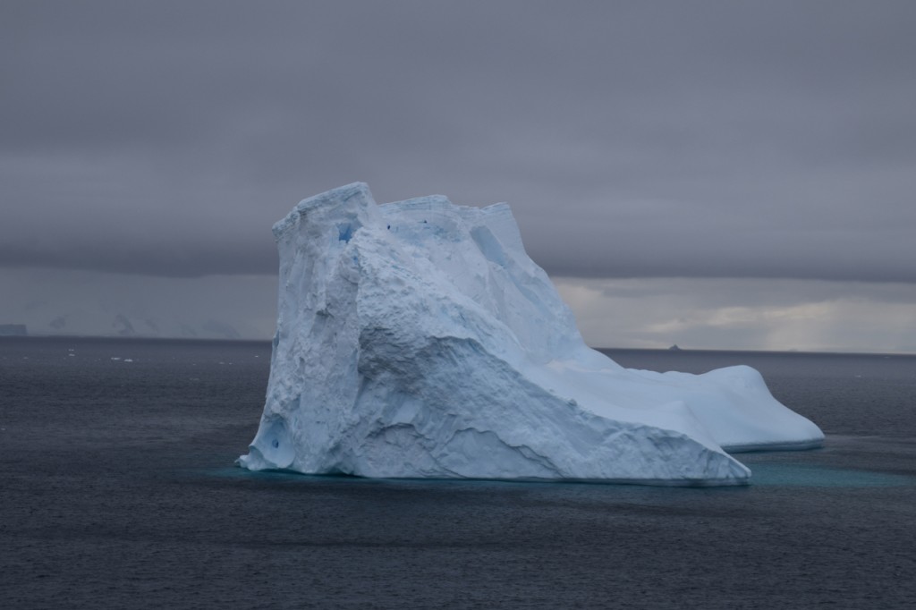 DSC_4186