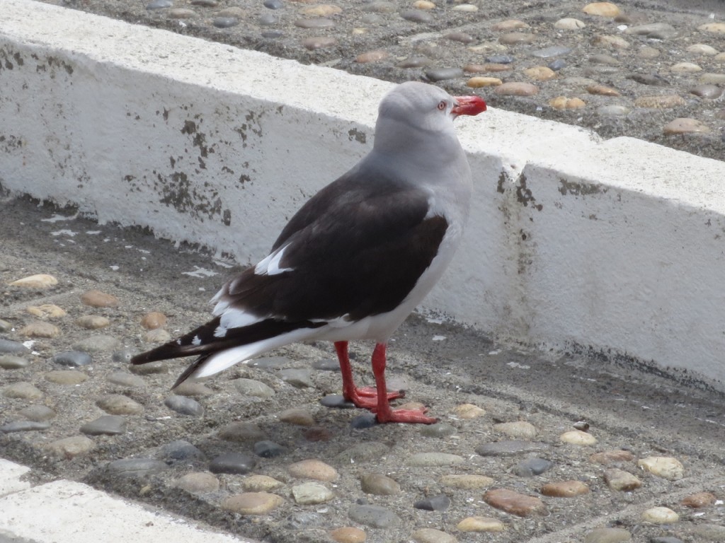 IMG_5837