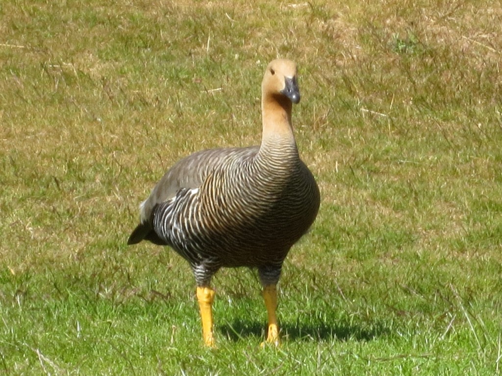 IMG_5925